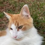 Profile Picture of Nick Dry (@Nick-Dry) on Facebook