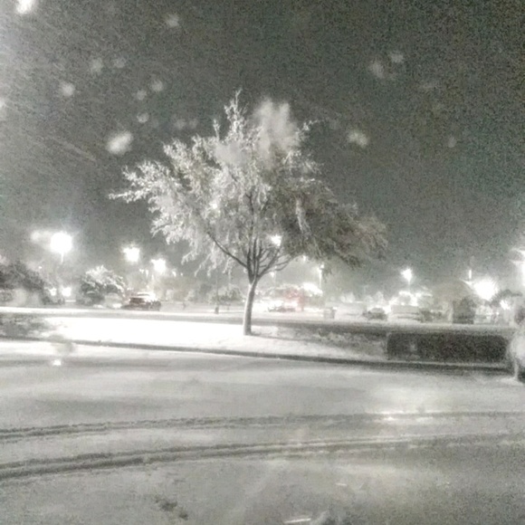 Profile Picture of Kaitlyn Cheshire (@kaitchesh) on Poshmark