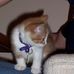 Profile Picture of Andrew Dailey (@andrew.dailey.754) on Facebook