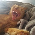 Profile Picture of Adam Burley (@adam.burley.56) on Instagram