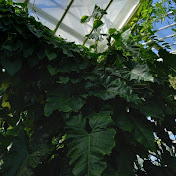 Lucy Abbott - Youtube Profile Picture of Lucy Abbott (@luceabbott) on Youtube