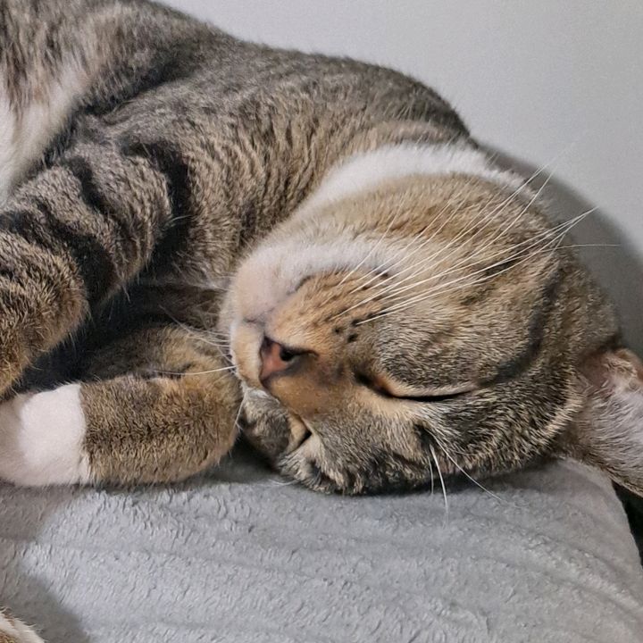 Profile Picture of andrew (@andrewwinfree) on Tiktok