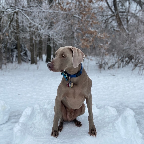 Profile Picture of John Keogh (@johnkeogh) on Poshmark