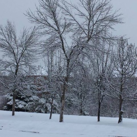 Profile Picture of Sammy Zheng (@zhengqianmei) on Poshmark