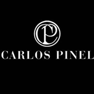 Profile Picture of Carlos Pinel (@carlospinelc) on Twitter