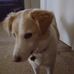 Profile Picture of Dennis Andreasen (@dennis.andreasen.104) on Facebook