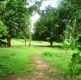 Profile Picture of Cristopher Arabe (@cristopher.arabe.16) on Facebook