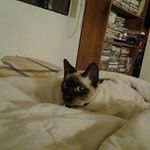 Profile Picture of Lori Mendez (@lori6379) on Instagram