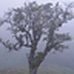 Profile Picture of Mario Garzon (@mario garzon) on Flickr