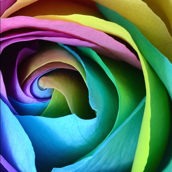 Profile Picture of Hazel Phillips (@mshazel465) on Poshmark