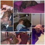 Profile Picture of Mel Pollock (@melbrown__) on Instagram