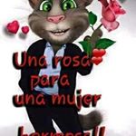 Profile Picture of Javier Gandarillas (@javier.gandarillas.5) on Instagram
