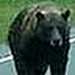 Profile Picture of Billy Holifield (@rebelman100@sbcglobal.net) on Flickr