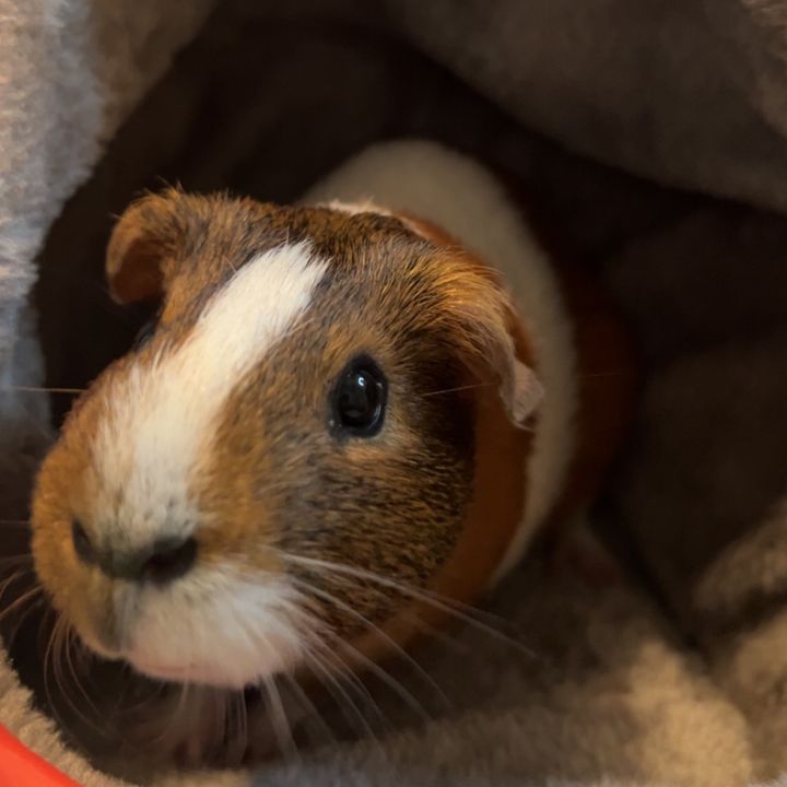 Profile Picture of max (@max.egbert) on Tiktok