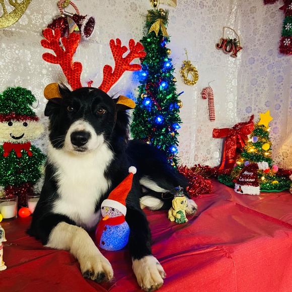 Profile Picture of Tony Estrada (@tulsa13) on Poshmark