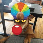 Profile Picture of Michael Wakolee (@michaelwakolee) on Instagram