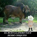 Profile Picture of alis jimenez (@alisjimenez1) on Instagram