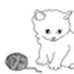 Profile Picture of Dany Cocoii (@dany cocoii) on Flickr