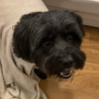 Profile Picture of Iris Rosendahl (@iris.rosendahl) on Instagram