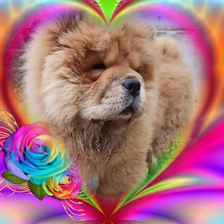 Profile Picture of Patrick Santer (@patrick.santer.357) on Facebook