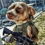 Profile Picture of Jared Derringer (@jaredderringer) on Instagram