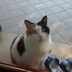 Profile Picture of Thomas Badiali (@thomas.badiali.5) on Facebook