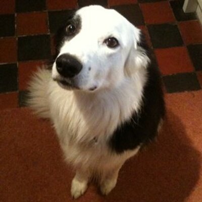 Profile Picture of Douglas Humphrey (@charley546) on Twitter