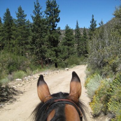 Profile Picture of Tracey Ramirez (@lv2dallee) on Twitter