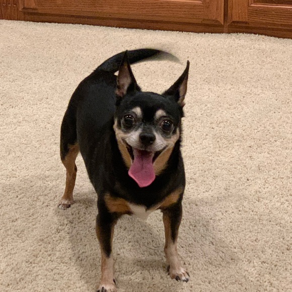 Profile Picture of Yolanda Hinojos (@hinojos6) on Poshmark