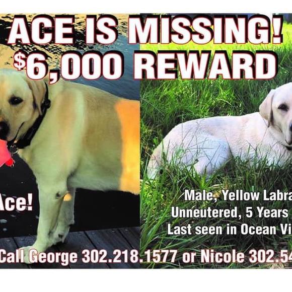 Profile Picture of Cherie Gaidosh (@gaidosh) on Poshmark