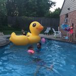 Profile Picture of Kasey Hahn (@mr.bill_the_duck) on Instagram