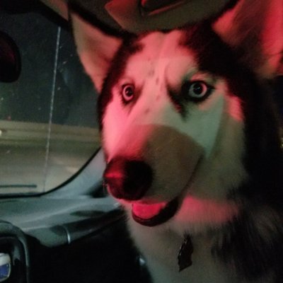 Profile Picture of Aaron Bruhn (@boon112007) on Twitter