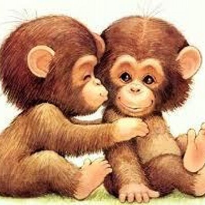 Profile Picture of Cassie Fitzpatrick (@cassie__7) on Twitter