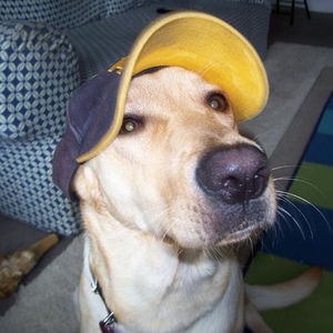 Profile Picture of Cliff Fenton (@seasidecliff) on Myspace