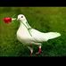 Profile Picture of Andrzej Kotek (@andrzej.kotek.927) on Facebook
