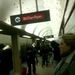 Profile Picture of Shellie (@downtowner) on Pinterest