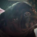 Violet Perkins - Instagram Profile Picture of Violet Perkins (@shakeyvi) on Instagram