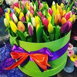 Profile Picture of Биби Умарова (@bibi.umarova) on Instagram