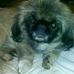Profile Picture of Kelly Engelbrecht (@kelly.engelbrecht.9) on Facebook