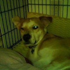 Profile Picture of Aaron Tuschen (@twosh_84) on Myspace