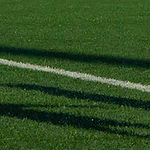 Profile Picture of Ying Ho Cheng (@ying ho cheng) on Flickr