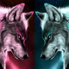 Profile Picture of Shawn Meredith (@@shawnmeredith1) on Tiktok