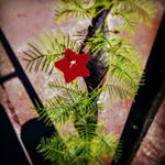 Profile Picture of Gracie Manning (@manningracie) on Instagram