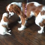 Profile Picture of Beatrice And Franklin (@bea_and_frank) on Instagram