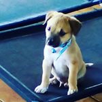 Profile Picture of Blake Baden (@wilma_dikfit456) on Instagram