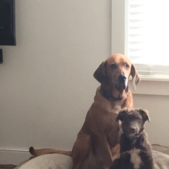 Profile Picture of Caleb Delamarter (@cdelamarter) on Poshmark