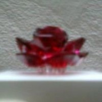 Profile Picture of Shelly Ramirez (@shelly-ramirez-17) on Quora