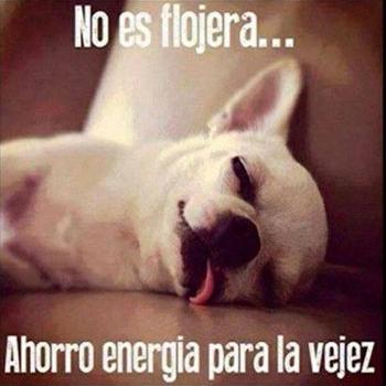 Profile Picture of Eufemio Hernandez (@93dbd5e45770400) on Twitter