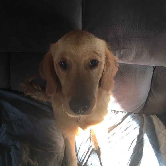 Profile Picture of Joshua Abelson (@bigjrads) on Poshmark