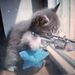 Profile Picture of David Linscott (@davidl8725) on Pinterest